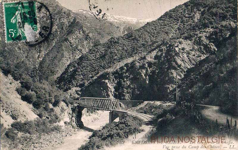 les gorges de la Chiffa.jpg